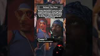 Snoop Dogg Made This \