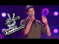 Elvis Presley - Always On My Mind | Benedikt Köstler Cover | The Voice of Germany 2017 | Audition