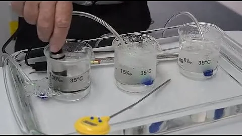 The Effects of Salinity and Temperature on Dissolved Oxygen