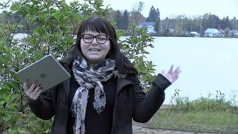 Prsentation du portrait-diagnos...  du lac  la Tor...