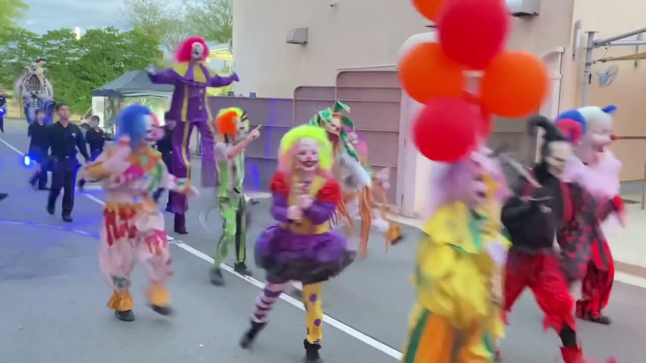 動画を再生