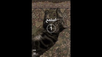سوره النور #اكسبلور #قرآن #لايك