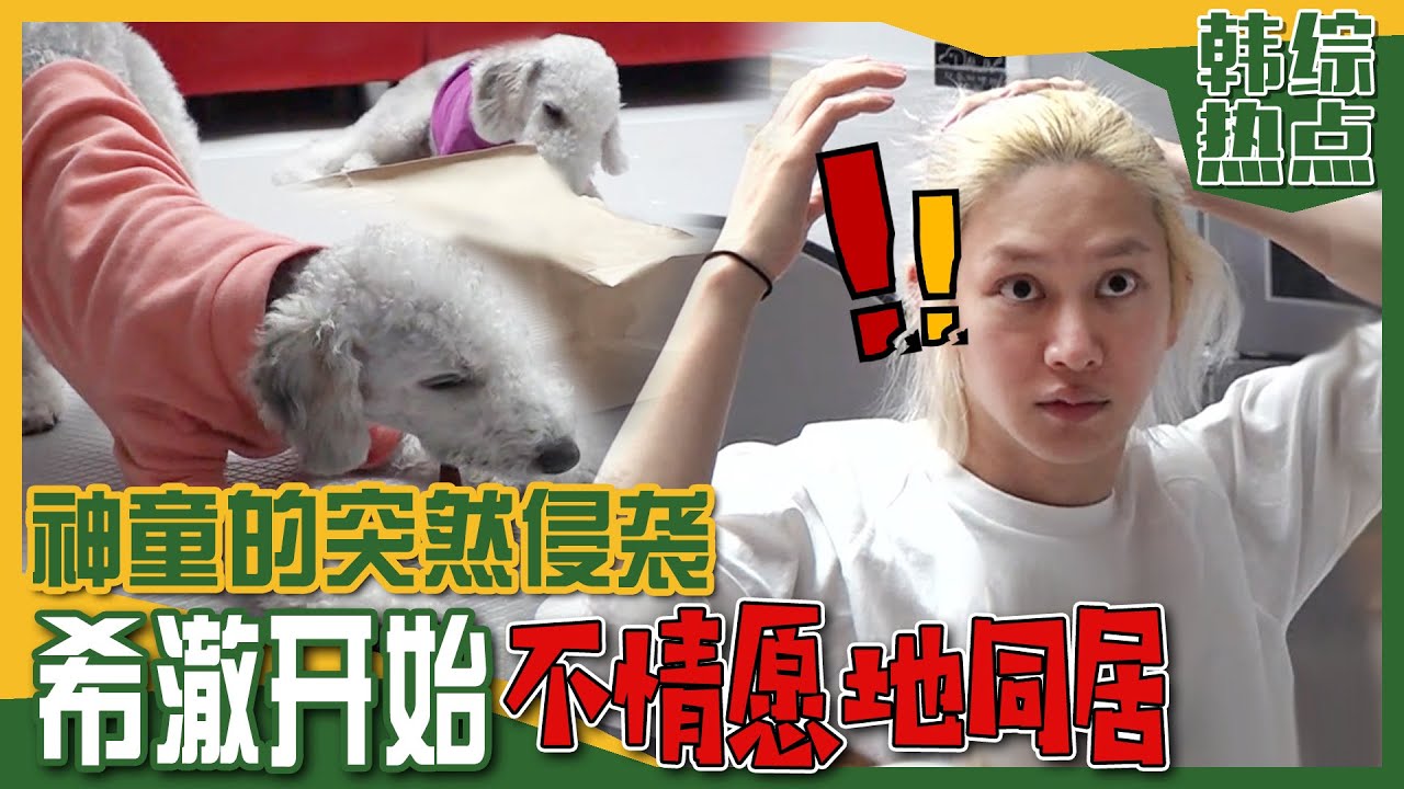 [中文字幕] 神童和狗狗们迫降在希澈家! 不是单纯来玩的? 居然要同居?? | 我家的熊孩子