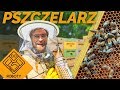 Jak opiekować się pszczołami - Praca pszczelarza | DO ROBOTY