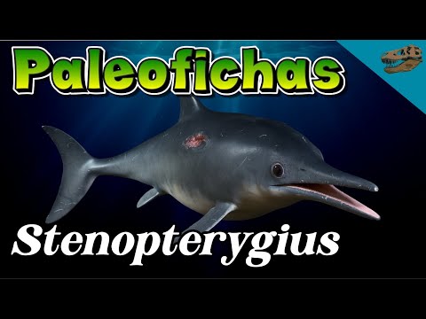 PALEOFICHAS: Stenopterygius (un