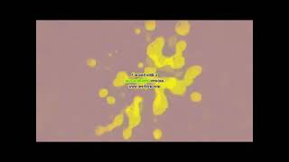 Klasky Csupo in Wiggle Major Effects | Preview 2l Effects (FIXED)