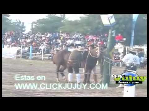 19 Festival Internacional de Jineteada y canto del Impenetrable - 1