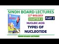 Sindh Board Lectures 11th Biology Nucleic Acid Part 2, Types of Nucleotide 