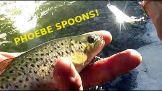 The ACME PHOEBE SPOON / LURE - Spin Fishing a DAM for WILD BROWN TROUT 