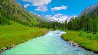 4k UHD Swiss River Flowing Sound. Gentle River, White Noise, Nature Sounds to Sleep, Relax 10 hours.