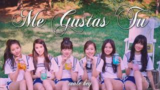 ME GUSTAS TU - GFRIEND (male key)