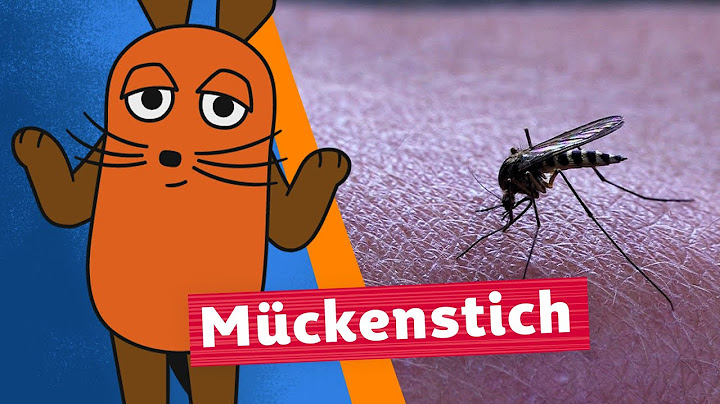 Warum sticht die Mücke? | Die Maus | WDR