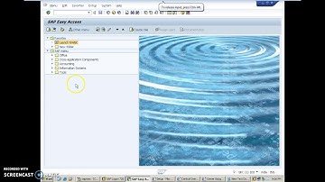 EAM Concept in SAP GRC