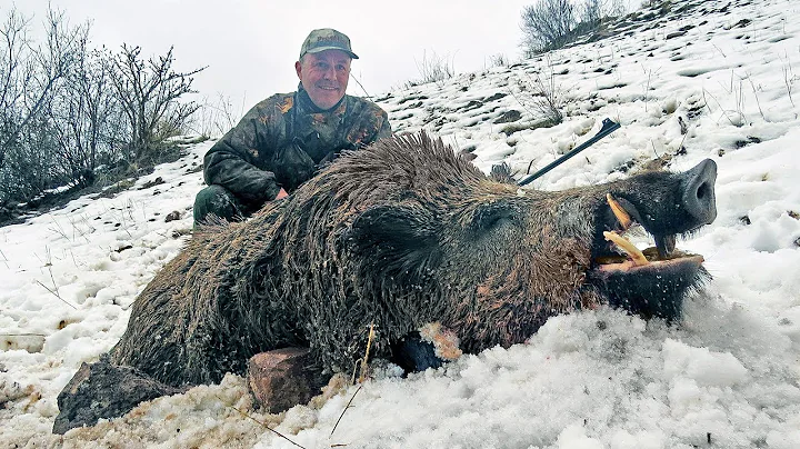 Wild Boar hunting in Tajikistan with ProfiHunt
