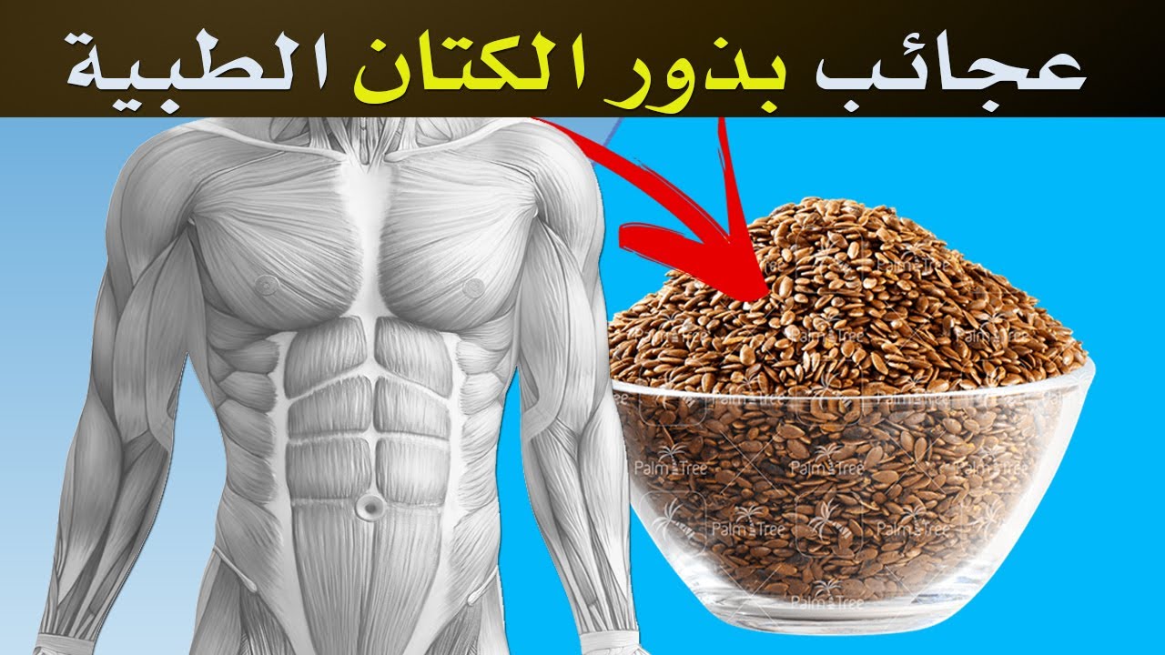 فوائد بذور الكتان 13 فائدة مذهلة وغير متوقعة لبذور الكتان المطحونة ...
