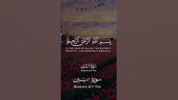 تلاوة نادرة للشيخ (عبدالباسط عبدالصمد) رحمه الله 🍃