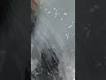 ズボラなフロントガラス霜取り