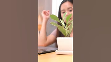 Why Evergreen Hustles Are Always Safer  The Proven Evergreen Method That Works Forever