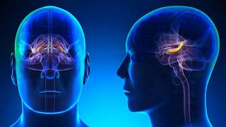 TOP 5: ways to GROW new BRAIN CELLS