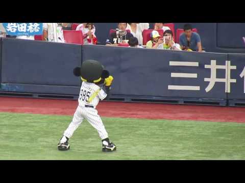 【阪神】スタメン発表に合わせて選手のモノマネをするトラッキー