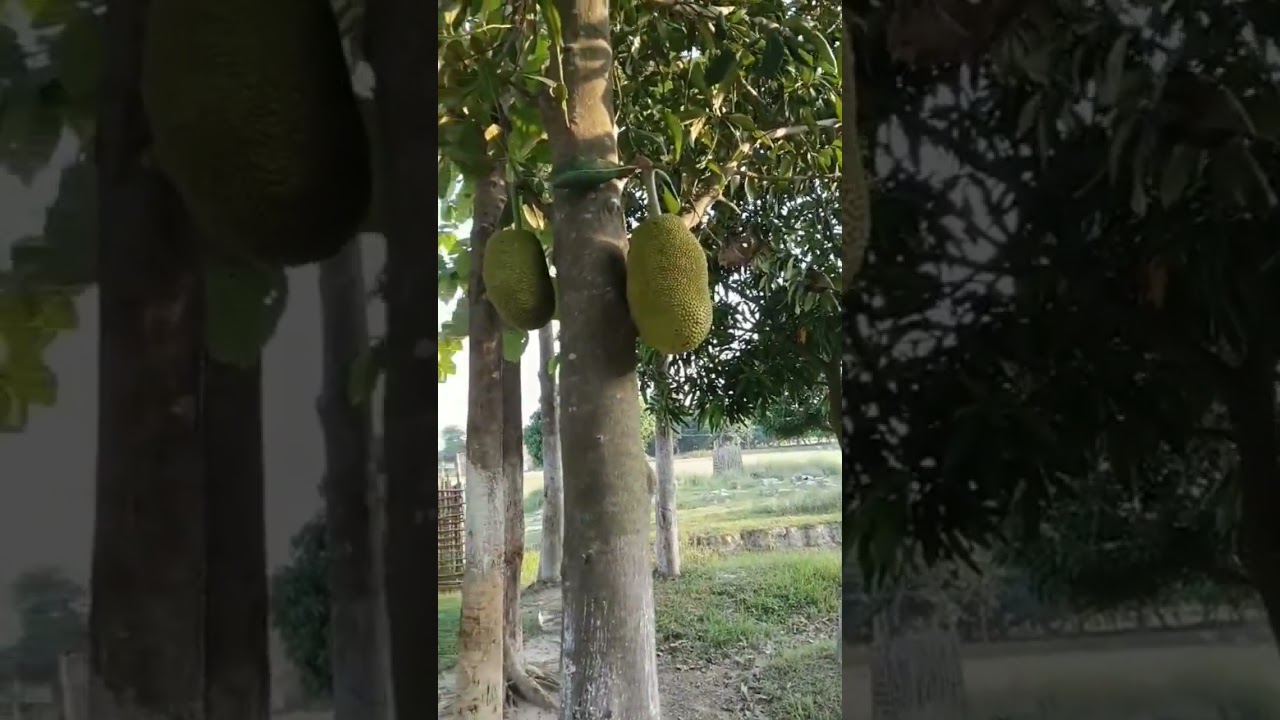 #quran #islamic❤Islamic motivation ❤🤲