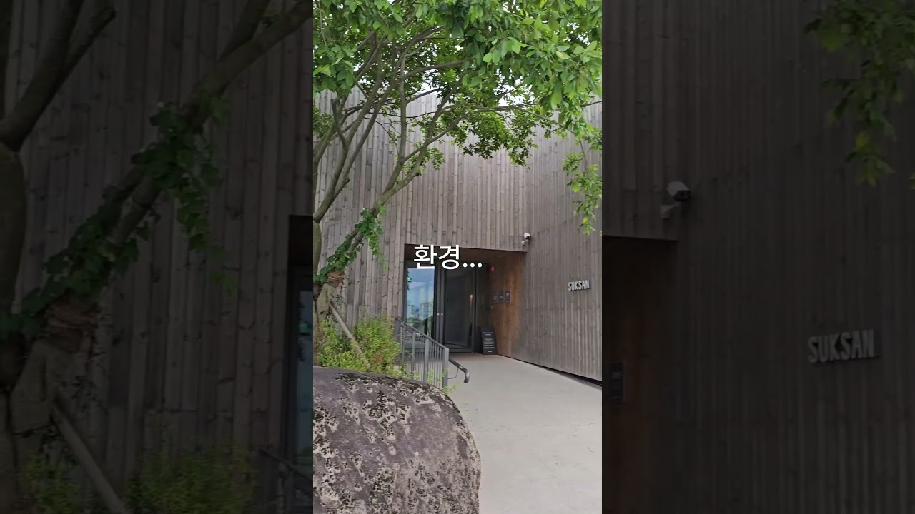 목포 석산카페 l 탄화목을 사용하여 분위기, 미적가치를 높였습니다 #shorts #목포카페 #목포여행 #목포맛집 #suksan #석산