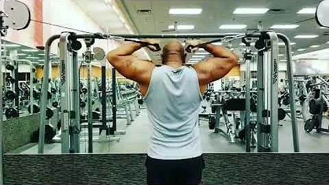 The Journey - biceps