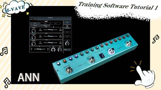ANN Training Software Tutorial (1)