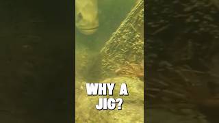 Why this? #fishing