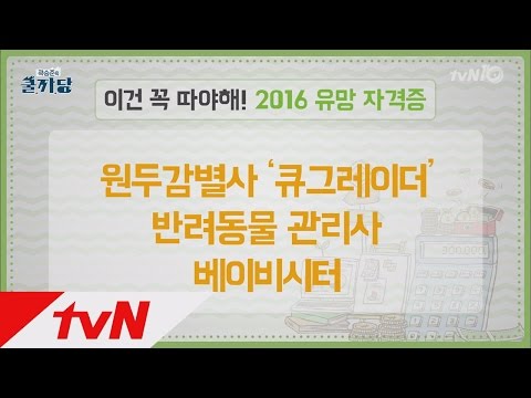 COOLKKADANG 미래 유망 자격증 160608 EP.173