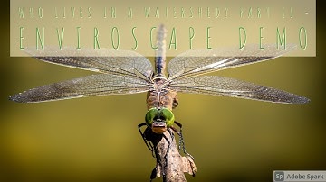 Who Lives in a Watershed?  Part II - Enviroscape demo