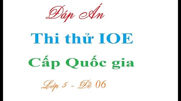 IOE lớp 5 cấp Quốc gia 2023 đề 06| Đáp án thi thử IOE lớp 5 cấp Quốc gia Học cùng Vịt con