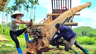 Agricultural vehicles. The skill in loading large logs onto the truck is amazing.#wood#farming #girl