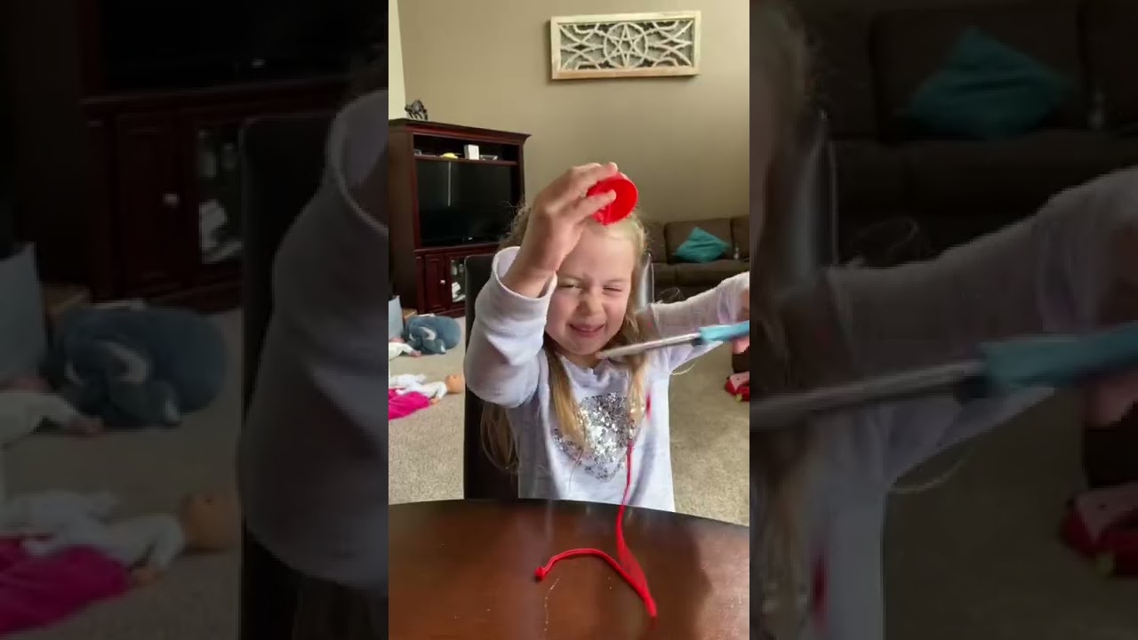 ULTIMATE PRANK REVENGE 