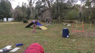 Img 5386