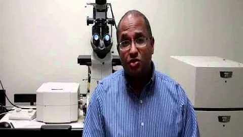 Researchers Take Major Step Toward a Treatment for Cystic Fibrosis