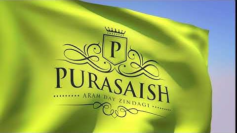 3D Realistic Flag Logo Animation | Flag Logo #V091