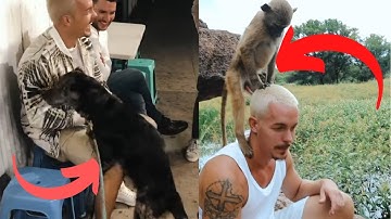 Dean Schneider Funniest Compilation Ever😂