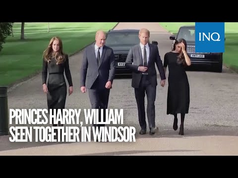 Princes Harry, William seen together in Windsor