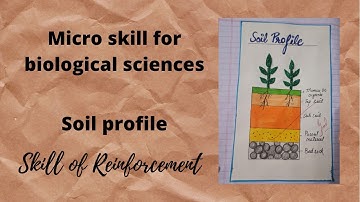 micro skill for biology , soil profile , skill of reinforcement , biology micro file