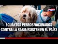 🔴🔵Marco Almerí: Ninguna región del Perú llega al 50% de sus perros vacunados contra la rabia