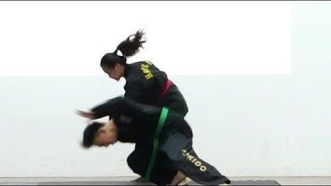 This is Hapkido - It