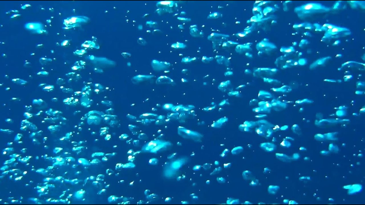 Impressions of Diving at Fuerteventura YouTube
