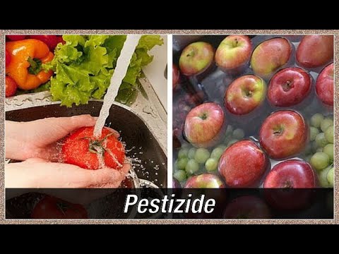 Pestizide In Obst Und Gemüse 2021 Pestizide In Obst Und Gemüse 2021