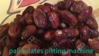 Dates Pitting Machines Test Video #dates #processing