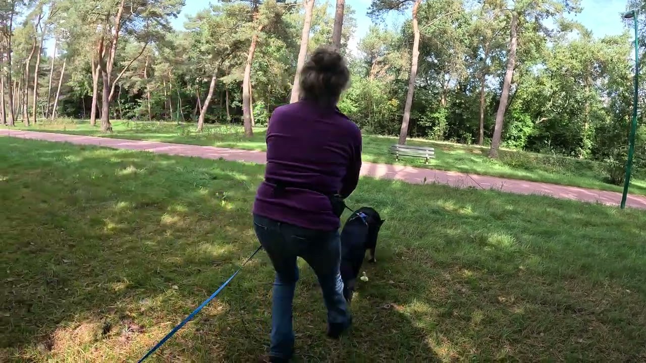 maandag 22 september