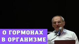 О гормонах в организме