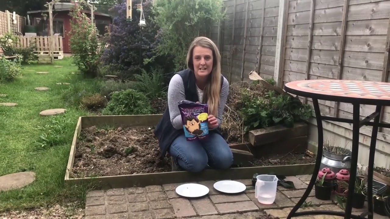 #EssexWildlifeTV - Garden Camera Trap