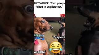 o my god #memes #funny #memearchive #memebox #memeteam
