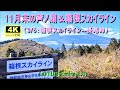 11月末の芦ノ湖＆箱根スカイライン（3/５：箱根スカイライン--長尾峠）